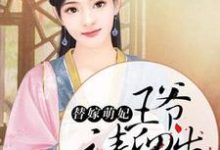求推荐可以免费阅读替嫁萌妃:王爷请留步小说的网站-乐读文学