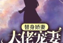 苏瓷傅南城小说叫什么(替身娇妻:大佬宠妻别太过免费阅读)-乐读文学