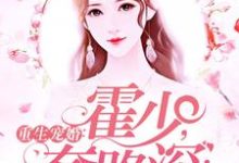 宋辞霍慕沉的故事在哪本书里?免费阅读重生宠婚:霍少,套路深!-乐读文学