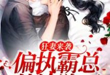 已完结小说《狂妻来袭,偏执霸总他沦陷了》章节在线阅读-乐读文学