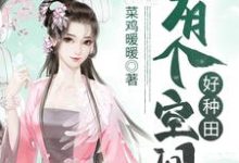 有个空间好种田小说的无弹窗阅读体验,寻找免费阅读网站-乐读文学