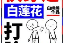 快穿之白莲花打脸专业户(孟西梅孟何川小白)在线免费阅读-乐读文学
