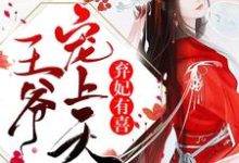 弃妃有喜:王爷,宠上天叶飘零晋王轩辕修,弃妃有喜:王爷,宠上天章节在线阅读-乐读文学