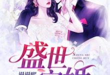 盛世宠婚小说,盛世宠婚免费阅读-乐读文学