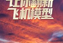 让你翻新飞机模型,你却打造幽灵战机?最新章节,让你翻新飞机模型,你却打造幽灵战机?免费阅读-乐读文学
