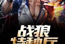 战狼特种兵小说,战狼特种兵章节在线阅读-乐读文学