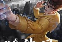 我有神眼苏叶宛如在线章节免费阅读-乐读文学