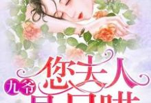 免费看九爷,您夫人是只喵小说的网站有哪些?-乐读文学
