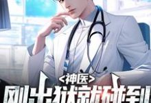 神医:刚出狱就碰到妻子和人约会这本小说怎么样?免费在线阅读试试-乐读文学