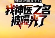 妹妹死而复生后,我神医之名被曝光了主角林漠许半夏小说完结版章节在线阅读-乐读文学