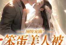 《诱哄暗撩!闺蜜小叔诱吻上瘾》小说主角苏荔裴司夜章节章节免费在线阅读-乐读文学