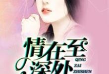 免费在线阅读情在至深处小说的正规网站有哪些?-乐读文学