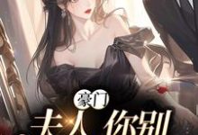 豪门:夫人,你别丢下我章节免费在线阅读,苏烟秦时砚完结版-乐读文学
