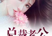 总裁老公,你好棒沈阑珊慕斯泽在线章节免费阅读-乐读文学