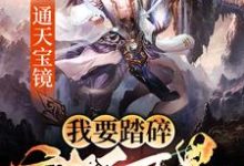 通天宝镜:我要踏碎诸天万界章节免费在线阅读,秦臻苏清完结版-乐读文学