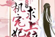 心机宠妃求上位:王爷,请赐教小说全文哪里可以免费看?-乐读文学