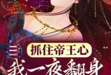 求抓住帝王心,我一夜翻身成宠妃小说免费资源-乐读文学