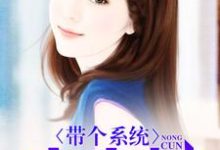 带个系统去农村小说,带个系统去农村苏灿虞佳琪罗拉纪落然-乐读文学