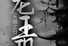 大婚之日,龙王现这本小说怎么样?免费在线阅读试试-乐读文学