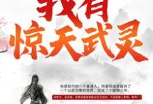 想读元枫慕云儿初天宇的故事,哪里可以免费找到我有惊天武灵?-乐读文学