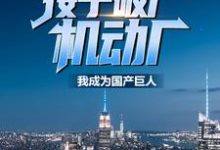 免费看接手破产机动厂:我成为国产巨人小说的网站有哪些?-乐读文学