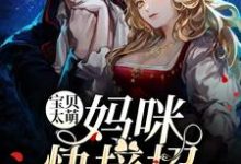 免费看宝贝太萌: 妈咪快接招小说的网站有哪些?-乐读文学
