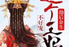 劫后余生:这个王妃不好宠小说有没有完整的免费版本在线阅读?-乐读文学