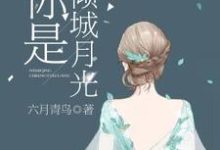 主人公叫宋月林弘弋沈连城陆敬乔的小说你是倾城月光在线阅读章节-乐读文学