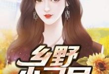 王大炮为主角的小说叫什么?免费看乡野小刁民-乐读文学