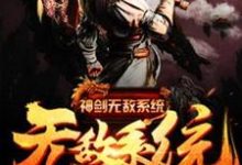 免费看神剑无敌系统小说的网站有哪些?-乐读文学