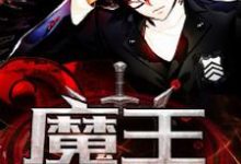 小说《魔王降临人间》章节阅读-乐读文学