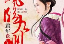 凤临九州落英唐傲小说免费阅读-乐读文学