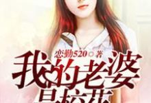 我的老婆是校花免费阅读,我的老婆是校花章节目录-乐读文学