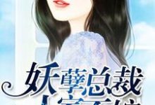 妖孽总裁,人家不嫁小说,妖孽总裁,人家不嫁最新章节-乐读文学