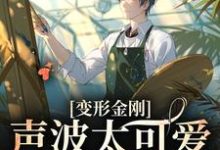在线寻找声波的小说,变形金刚:声波太可爱了怎么办免费阅读-乐读文学
