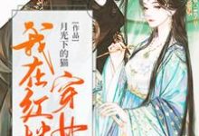 我在红楼穿女装主角林慕贾瑛小说完结版章节在线阅读-乐读文学