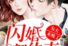 主角姜阮晏楚衍小说闪婚契约妻:为夫来晚了免费阅读-乐读文学