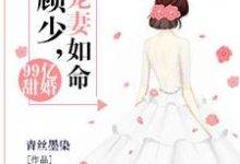 99亿甜婚:顾少,宠妻如命主角安沫兮顾锦川小说完结版章节在线阅读-乐读文学