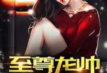 已完结小说《至尊龙帅》章节免费阅读-乐读文学