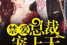 完结版《禁爱总裁宠上天》免费阅读-乐读文学