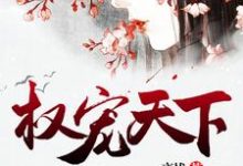 已完结小说《权宠天下》章节免费阅读-乐读文学