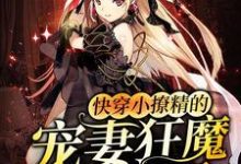 桑云晚司浩璟是哪本书的主角?快穿小撩精的宠妻狂魔又醋了免费读-乐读文学