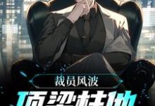 在线搜索唐辰的完整小说,免费阅读裁员风波:顶梁柱他创业成功了-乐读文学