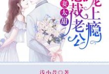 寻找能够免费阅读萌妻太甜:总裁老公宠上瘾小说的平台-乐读文学