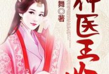 神医王妃小说,神医王妃免费阅读-乐读文学