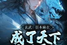 楚青赵红袖小说《玄武:臣本麻衣,成了天下锦绣霸主》在线阅读-乐读文学