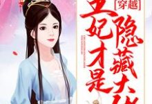穿越:王妃才是隐藏大佬小说,穿越:王妃才是隐藏大佬免费阅读-乐读文学