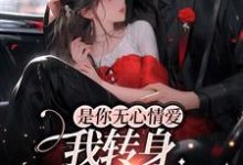 免费在线阅读是你无心情爱,我转身嫁人你急啥?小说的正规网站有哪些?-乐读文学