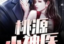 桃源小神医王小善小辣椒小说大结局免费试读-乐读文学