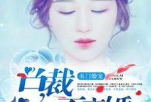 免费在线阅读名门婚宠:总裁不离婚小说的正规网站有哪些?-乐读文学